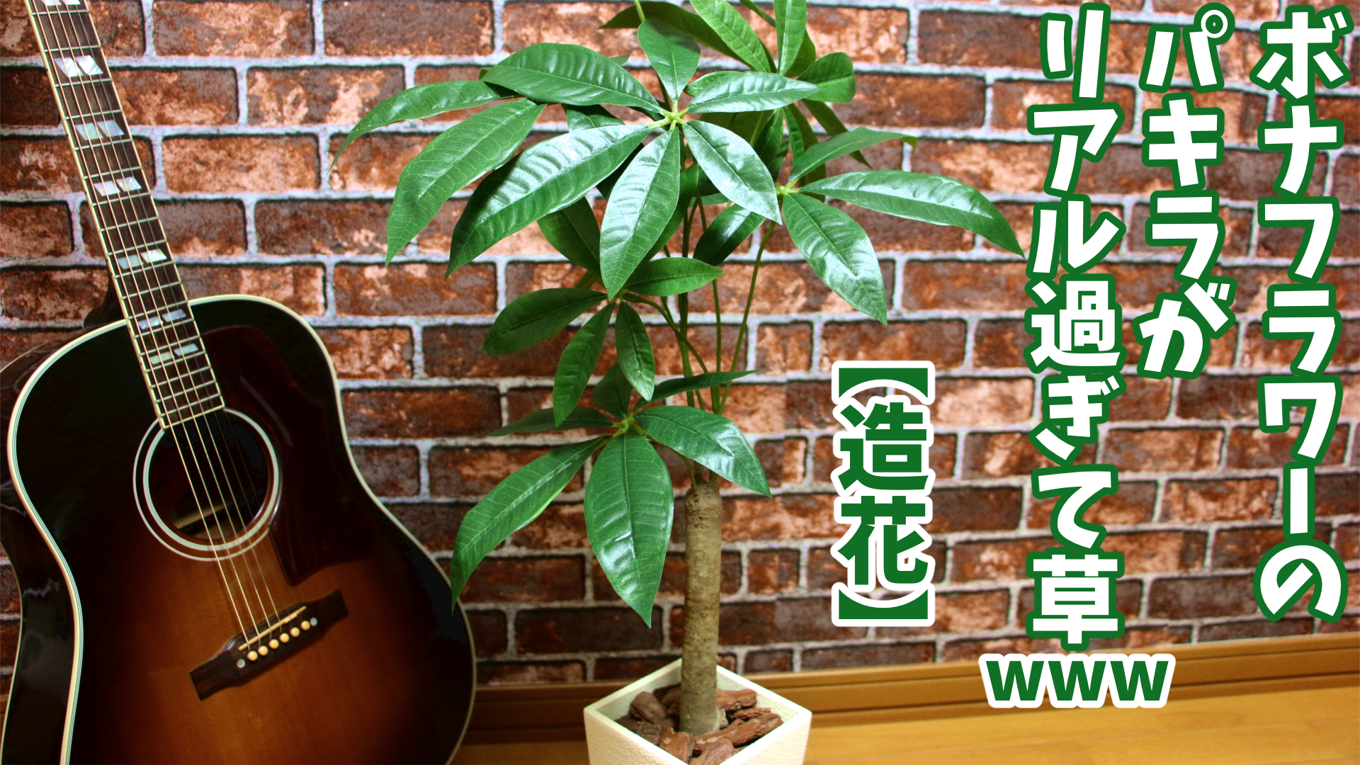 ボナフラワーのパキラがリアル過ぎて草www 造花