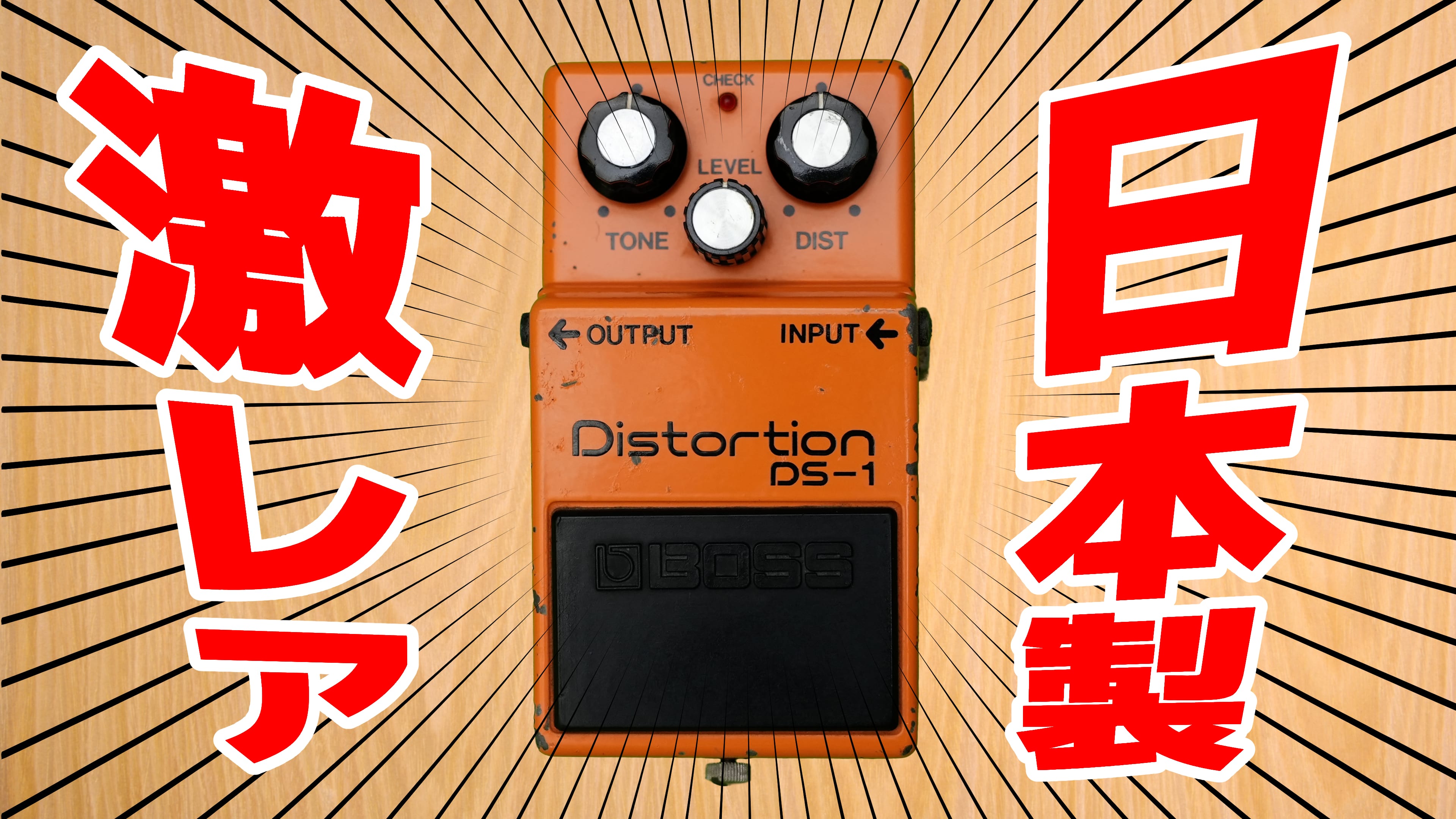 DS-1JVSamune-min.jpeg