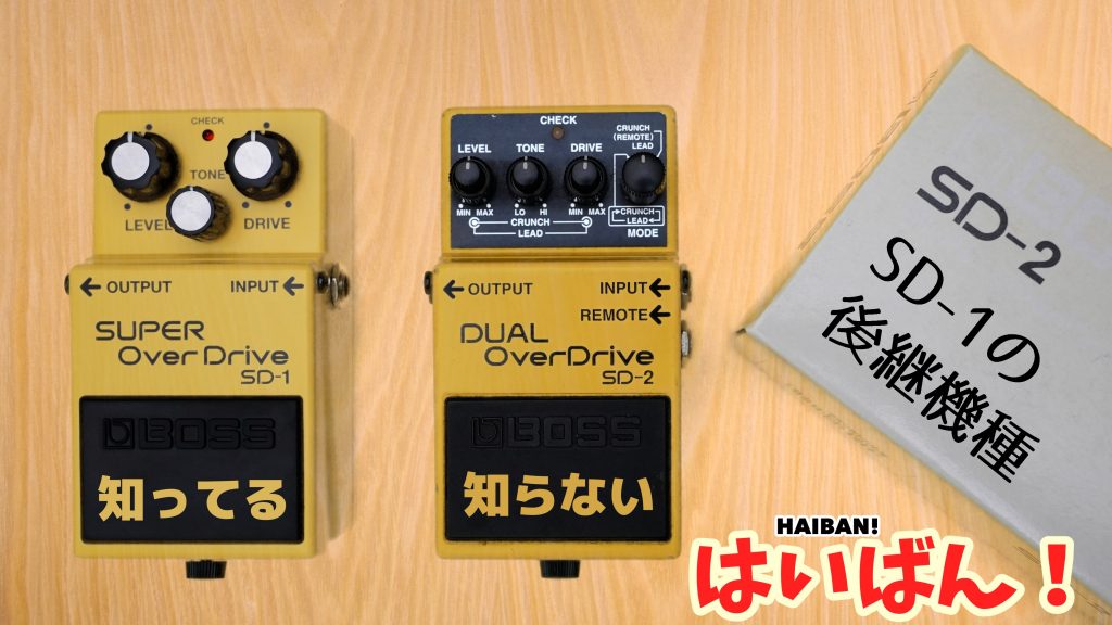 SD-2Samune-min-1024x576.jpeg