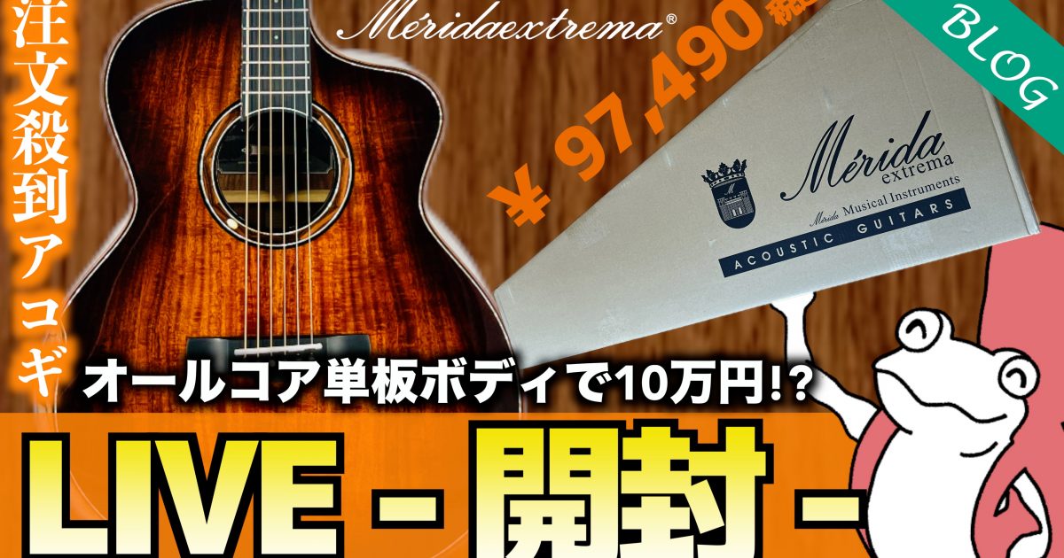 注文殺到】価格崩壊と話題の新作ギター『Merida / SCAR』開封 